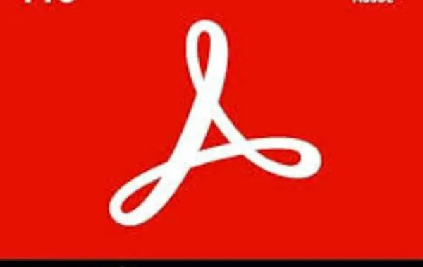 Licences Adobe
