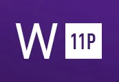 Windows 11 Professional Retail