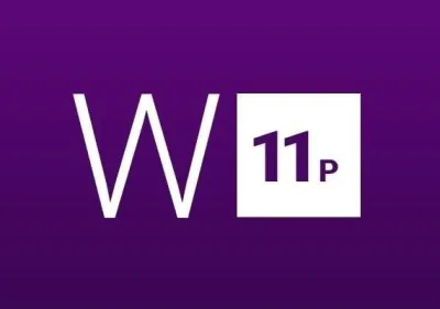 Windows 11 Professional