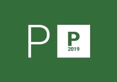 Project Professional 2019 for 2 PC